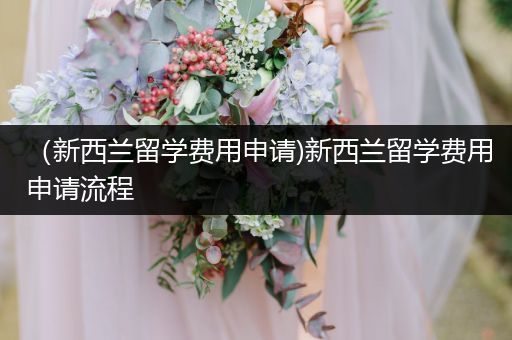 （新西兰留学费用申请)新西兰留学费用申请流程