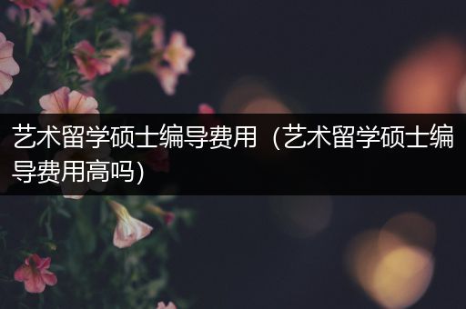 艺术留学硕士编导费用（艺术留学硕士编导费用高吗）
