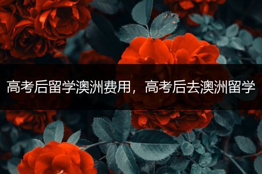 高考后留学澳洲费用，高考后去澳洲留学