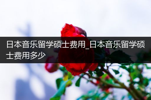 日本音乐留学硕士费用_日本音乐留学硕士费用多少