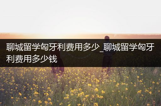 聊城留学匈牙利费用多少_聊城留学匈牙利费用多少钱