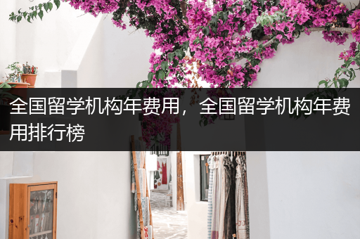 全国留学机构年费用，全国留学机构年费用排行榜