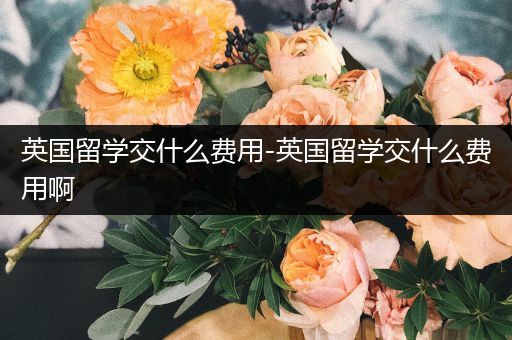 英国留学交什么费用-英国留学交什么费用啊