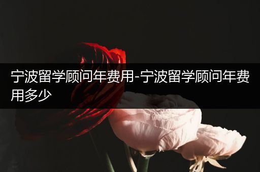 宁波留学顾问年费用-宁波留学顾问年费用多少