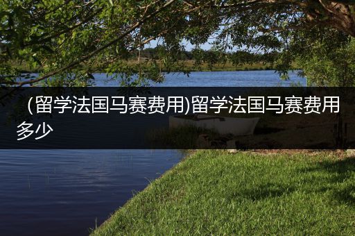 （留学法国马赛费用)留学法国马赛费用多少
