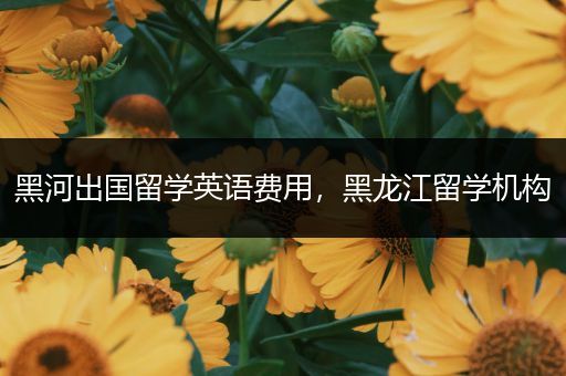 黑河出国留学英语费用，黑龙江留学机构