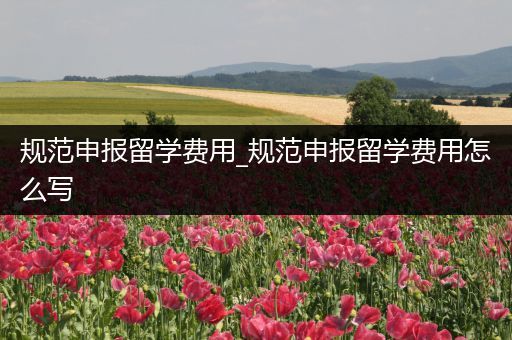 规范申报留学费用_规范申报留学费用怎么写