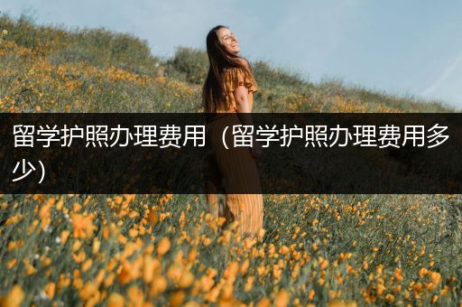 留学护照办理费用（留学护照办理费用多少）