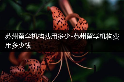 苏州留学机构费用多少-苏州留学机构费用多少钱