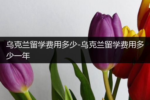 乌克兰留学费用多少-乌克兰留学费用多少一年