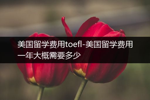 美国留学费用toefl-美国留学费用一年大概需要多少