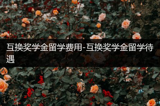 互换奖学金留学费用-互换奖学金留学待遇