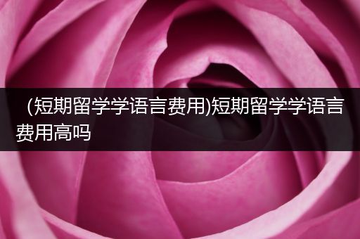 （短期留学学语言费用)短期留学学语言费用高吗