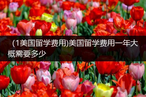 （1美国留学费用)美国留学费用一年大概需要多少