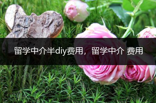 留学中介半diy费用，留学中介 费用