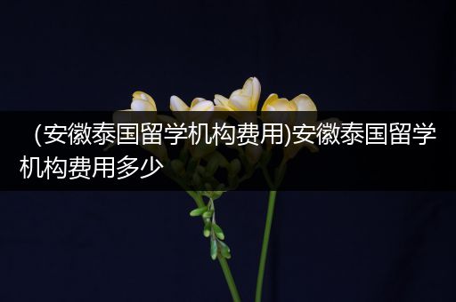 （安徽泰国留学机构费用)安徽泰国留学机构费用多少