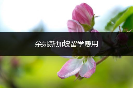 余姚新加坡留学费用