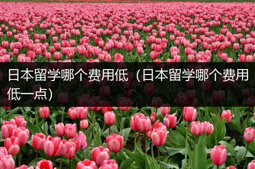 日本留学哪个费用低（日本留学哪个费用低一点）