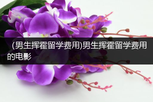 （男生挥霍留学费用)男生挥霍留学费用的电影