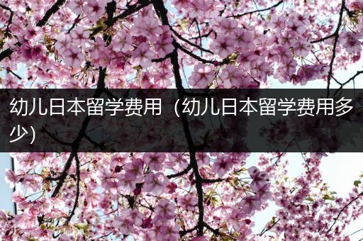 幼儿日本留学费用（幼儿日本留学费用多少）