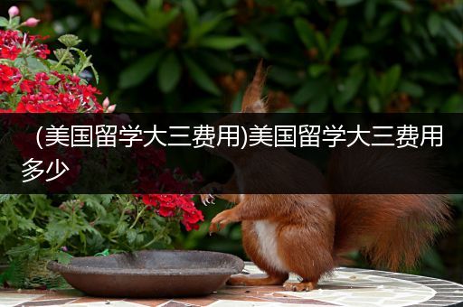 （美国留学大三费用)美国留学大三费用多少
