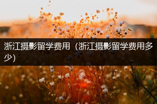 浙江摄影留学费用（浙江摄影留学费用多少）