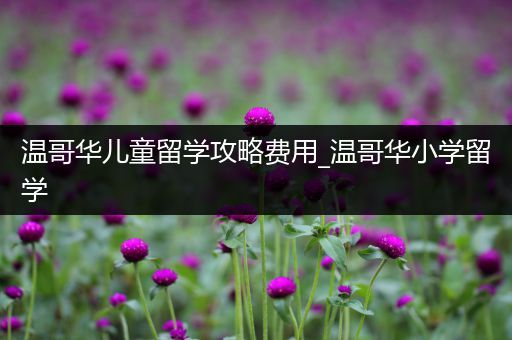温哥华儿童留学攻略费用_温哥华小学留学