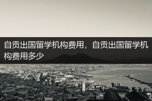 自贡出国留学机构费用，自贡出国留学机构费用多少