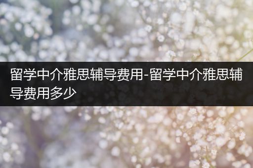留学中介雅思辅导费用-留学中介雅思辅导费用多少