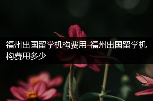 福州出国留学机构费用-福州出国留学机构费用多少