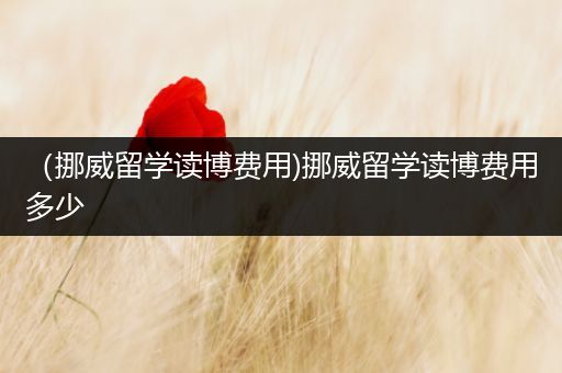 （挪威留学读博费用)挪威留学读博费用多少