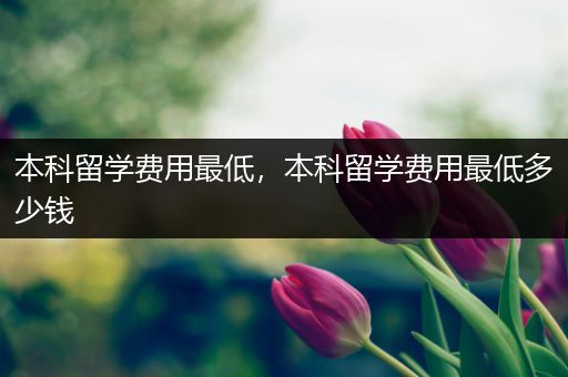 本科留学费用最低，本科留学费用最低多少钱