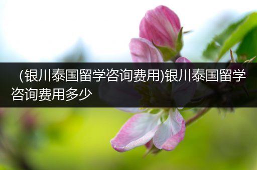 （银川泰国留学咨询费用)银川泰国留学咨询费用多少