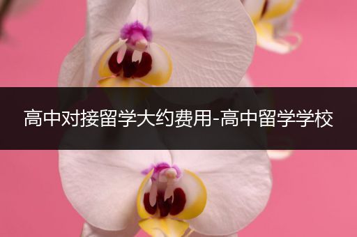 高中对接留学大约费用-高中留学学校