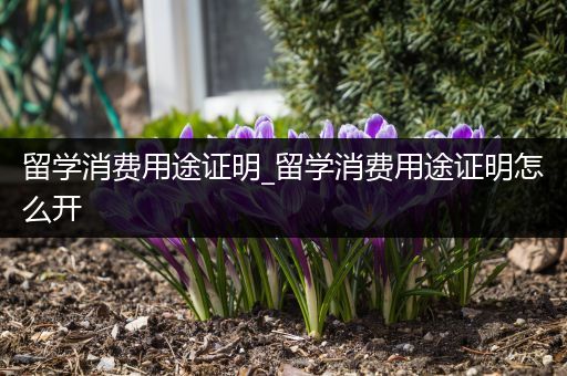 留学消费用途证明_留学消费用途证明怎么开