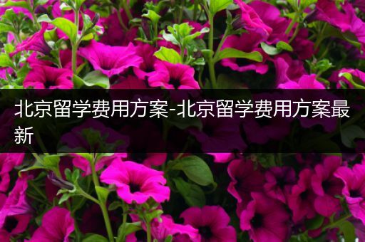 北京留学费用方案-北京留学费用方案最新