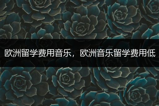 欧洲留学费用音乐，欧洲音乐留学费用低