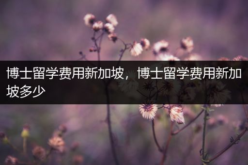 博士留学费用新加坡，博士留学费用新加坡多少