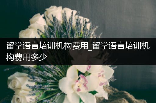 留学语言培训机构费用_留学语言培训机构费用多少
