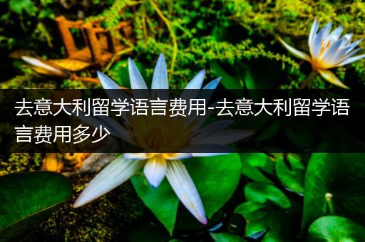 去意大利留学语言费用-去意大利留学语言费用多少