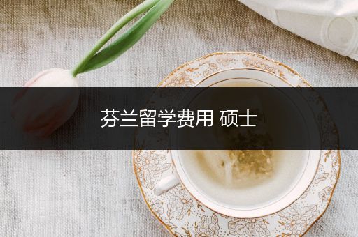 芬兰留学费用 硕士