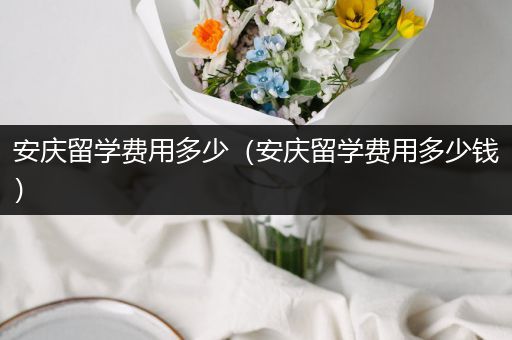 安庆留学费用多少（安庆留学费用多少钱）