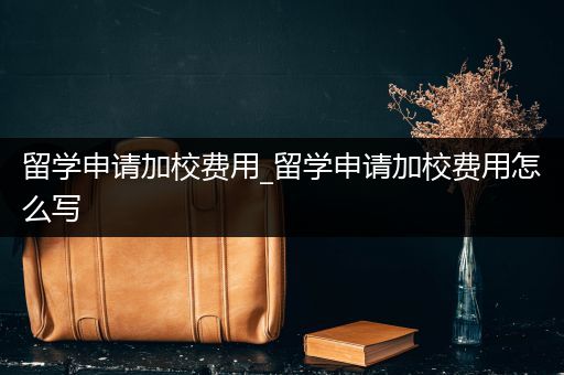留学申请加校费用_留学申请加校费用怎么写