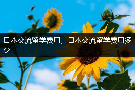 日本交流留学费用，日本交流留学费用多少