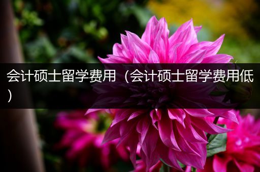 会计硕士留学费用（会计硕士留学费用低）