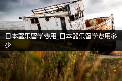 日本器乐留学费用_日本器乐留学费用多少