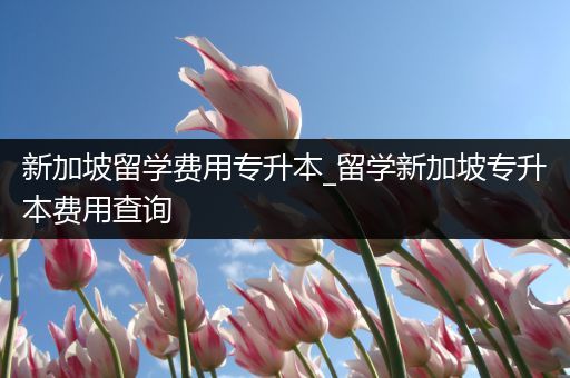 新加坡留学费用专升本_留学新加坡专升本费用查询