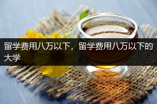留学费用八万以下，留学费用八万以下的大学