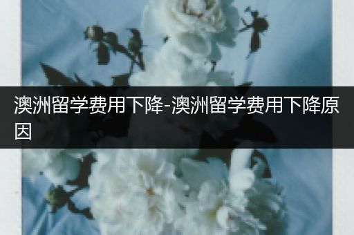 澳洲留学费用下降-澳洲留学费用下降原因