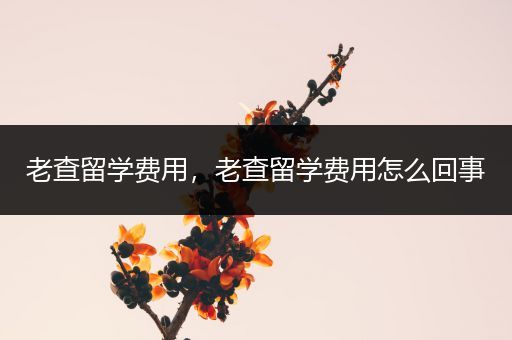 老查留学费用，老查留学费用怎么回事